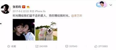 娱乐吃瓜君张翰,娱乐吃瓜界的风云人物